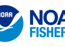 NOAA FISHERIES LOGO