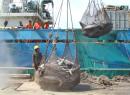 TUNA BOAT UNLOADING