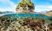 Fatu ma Futi above and below the water line.