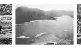 Marine biologist Alfred Mayor’s 1917 photos