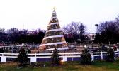 File photo of National Christmas Tree from past year.