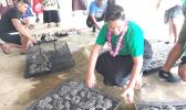 baby giant clams