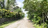 location where flight Pan Am flight 806 crashed