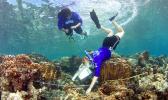 During the QUEST session offered over the spring break, ASCC students Saelia Holmgren (foreground) and Claudia Thompson work together to measure the amount of relief in the reef, a metric known as rugosity.  [Courtesy Photo]          