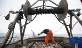 Industrialization hasn't made fishing more efficient. (AP Photo/Robert F. Bukaty) Industrialization hasn't made fishing more efficient. (AP Photo/Robert F. Bukaty)