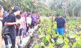 Boat captain for the NMSAS research vessel - RV Manuma - Peter Taliva'a making a brief presentation on the traditional way to maintain a healthy taufusi (taro plantation).  [Courtesy photo]