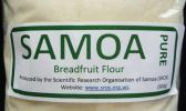 The 2017 Breadfruit summit being held in Samoa this week includes scientists, business developers, investors, traditional community leaders, food technology experts, farmers and project developers. Their goal is to set a pathway for ulu to be a major player in the economies of the Pacific Island and a leading component in the islands food security.  [Courtesy photo]