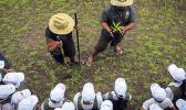 ASCC-ACNR Forestry staff (left) Galutau Aga and Tony Maugalei demonstrate proper tree planting techniques to Fagalii Elementary School students during the Forestry Program 2018 Review. [Courtesy photo]