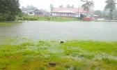 Called by village residents — our temporary “lake” — it’s seen in this photo yesterday morning — it’s the Malaeloa malae. [SN photo]