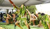 Niueans are celebrating their language, culture and heritage this week in New Zealand as part of the Pacific Language weeks. An academic says the Niue language is at crisis levels with New Zealand-born Niueans not speaking the language of their forefathers.  [Photo: RNZI Indira Stewart]