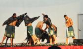 On December 14, 2017, National Park American Samoa rangers and University of Hawaii instructors presented highlights from the Fruit Bat Curriculum, which included an original song, a Haka and a drama featuring the Samoan legend of the native Fruit Bat.  [courtesy photo]