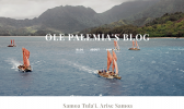 [screenshot from blog]