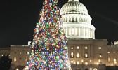 The Capitol Christmas Tree (from Montana this year) as pictured the evening of December 21st. [courtesy photo]
