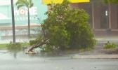 In this image made from video, tree debris lies on the street as wind gusts in Bowen, eastern Australia, Tuesday, March 28, 2017. A powerful cyclone lashed islands, damaged roofs and cut power on Tuesday as it edged toward Australia's tropical northeast coast, officials said.(AuBC via AP) In this image made from video, tree debris lies on the street as wind gusts in Bowen, eastern Australia, Tuesday, March 28, 2017. A powerful cyclone lashed islands, damaged roofs and cut power on Tuesday as it edged toward Australia's tropical northeast coast, officials said.(AuBC via AP)