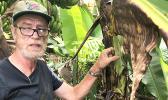 Dr. Casper Vanderwoude of the University of Hawaii's Ant Lab 
