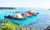 Three alia boats tethered to shore