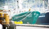 Part of the American Samoa longliner fleet