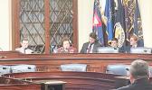 Amata speaking in committee
