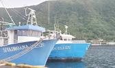 Moored longline boats in Pago Pago Harbor