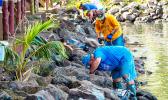 Members of the Pago Pago Seventh-Day Adventist Church picking up debris