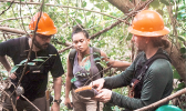 USFS staffer Patrick Baird, ASCC-ACNR Forestry Intern Cher Nomura, and USFS Staff Jonathan Marshall 
