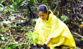 Talofa Fe‘a planting a tree.