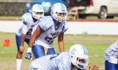 The leader of the Sharks defensive unit, the ‘Hammer-Head Shark’ Daniel McMoore, led Samoana’s defense in a complete shutdown of the Wildcats during last week's matchup. The only two points of the game were given up by their offense during the final quarter of play.  [photo: TG]