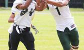 A long pass intended for (#1) of the Lions is intercepted by Nu’uuli Wildcats cornerback (#24) near the sidelines during the second half of their Junior Varsity game this past Saturday. [photo: TG]