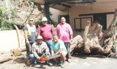 ASPA crew with huge tree stump