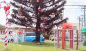 ASPA Christmas tree on the Airport road