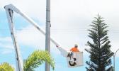 Man in bucket of bucket truck decorating huge xmas tree