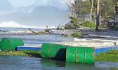 Big waves of Aunuu from a file photo taken inn August 2019