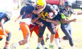 Joseph Nanai is met immediately in the backfield for a sack by a host of Bears defenders during the opening half of their semi-final match up last Saturday. The Bears won 20-6. [photo: TG]