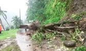 Backhoe clearing large tree that fell across the road
