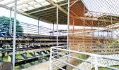 Condition of Solaita baseball stands