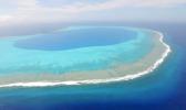 Beveridge reef