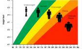 BMI graphic
