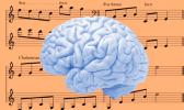 Researchers have found that the parts of the brain where music aptitude and appreciation happen are the last to be affected in Alzheimer's sufferers.  [Photo: RNZ]