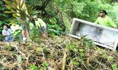 Illegal dumping is on the rise in American Samoa — especially down hillsides next to roads in outer villages. As proved in this photo, out of sight does not mean it exists no more — highly damaging toxic fluids from such dumped appliances seep into our to our drinking water, soils, oceans and coral reefs. NPAS has formed an Illegal Dumping Task Force to help clean up and stop this practice. It comprises the Office of Samoan Affairs, National Park of American Samoa and other local agencies.  [Courtesy photo]