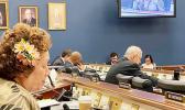 Congresswoman Amata speaking into microphone in committee room.