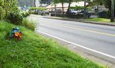 Flowers have been placed at the site where the late Lopesi Lameko was struck and killed by a vehicle earlier this year in June. Folasa Galea’i, who was the driver of the vehicle, has been charged by the government with vehicular homicide - a felony.    [photo: AF]