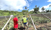 The farm owner was ordered to uproot and destroy all crops, which have been identified by AS-EPA to be tainted with the Complete Insect Killer and Triazicide Insect Killer pesticides. [courtesy photo Farm owner with EPA personnel