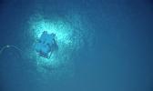 Deep Discoverer