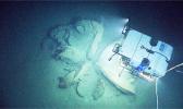 During a dive on sonar anomalies suspected to be a shipwreck, the Deep Discoverer remotely operated vehicle instead discovered the remnants of asphalt volcanoes, or “tar lilies.” Image courtesy of NOAA Office of Ocean Exploration and Research, Okeanos Explorer Gulf of Mexico 2014 Expedition. [NOAA]