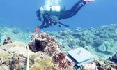Diver deploying monitoring equipment on reef