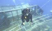 Diver on sunken ship