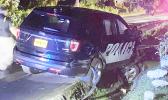 Police unit in ditch