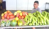 Farmers Market