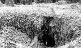This black and white photo from the 1950s shows the entrance into the main shaft of the Falemauga Caves on Upolu island in Samoa.