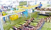 Sellers at the 2022 farm fair